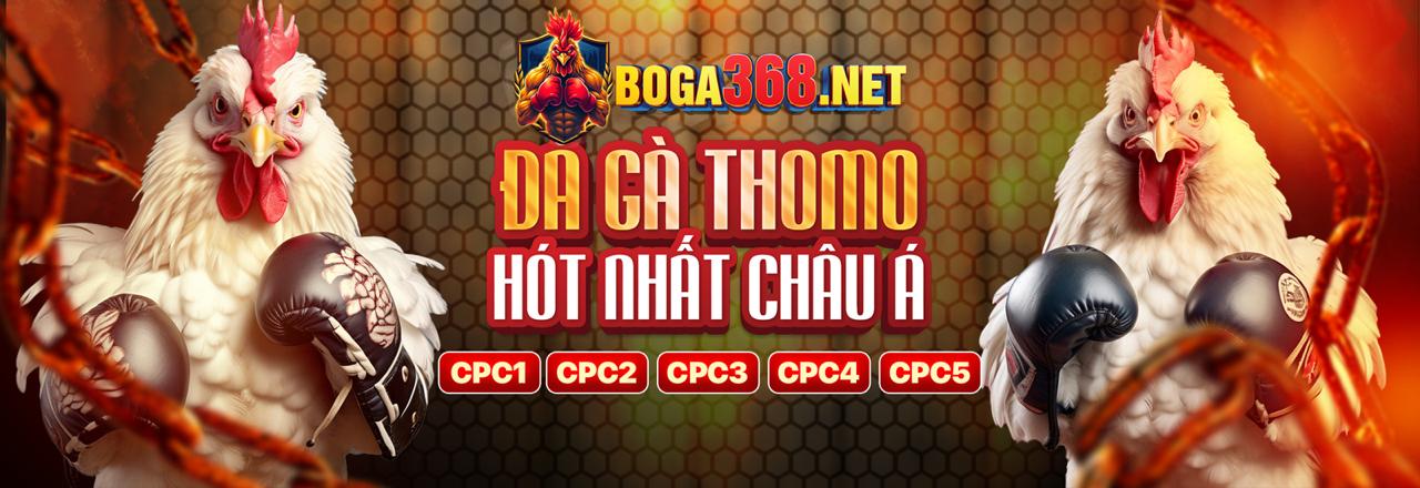 Đá gà cựa dao game tt88