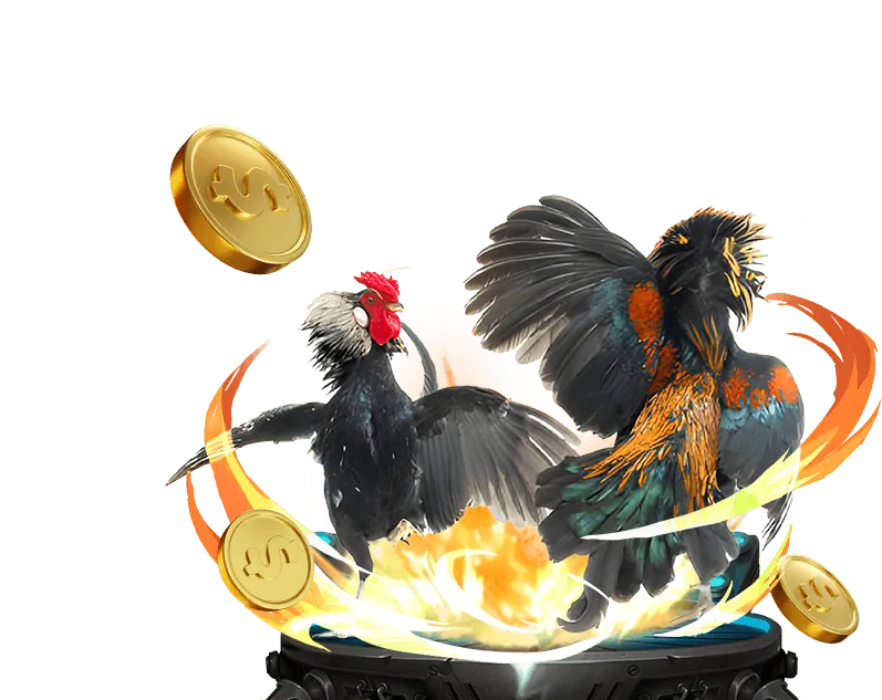 Khuyến mãi Thể thao TT88